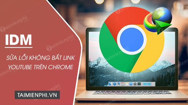 Cách sửa lỗi IDM không bắt link Youtube trên Chrome hiệu quả