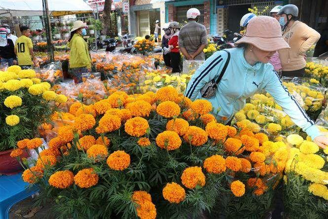 Top 10 Chợ Hoa Tết Miền Tây 2025 - Khám Phá Nét Đẹp Truyền Thống