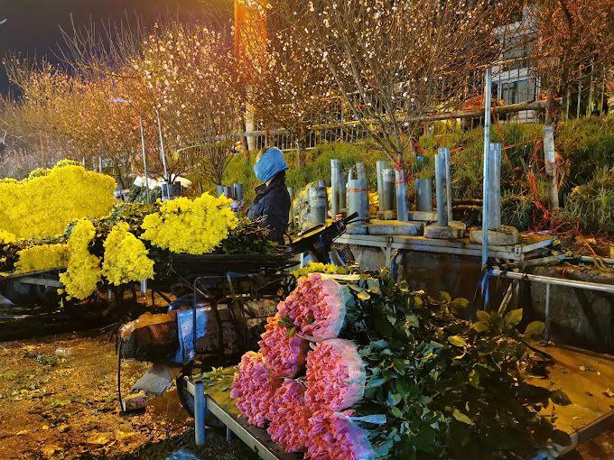 Top 9 Chợ Hoa Tết Hà Nội 2023 - Đón Xuân Rực Rỡ