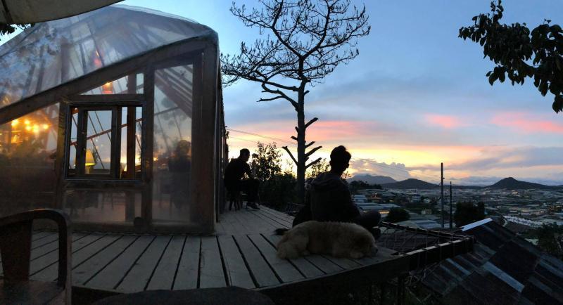Top 14 Quán Cafe View Đẹp Ở Đà Lạt - Trải Nghiệm Khó Quên